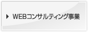 WEBコンサルティング事業