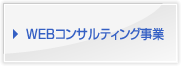 WEBコンサルティング事業